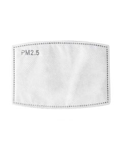 PM 2.5 filter (pack of 5)